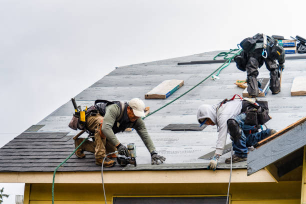 Professional Roof Inspection technician working in Bluffton, MN